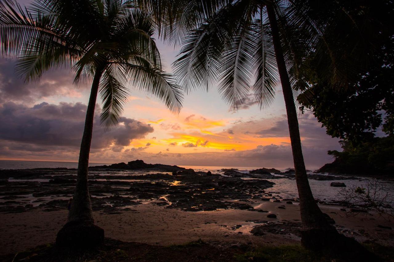 Pacific Edge Eco Lodge Dominical Bagian luar foto
