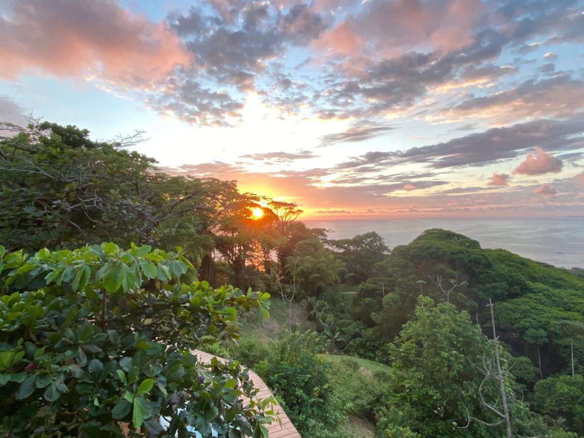 Pacific Edge Eco Lodge Dominical Bagian luar foto