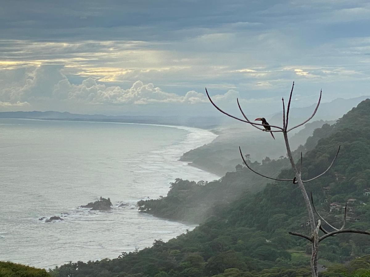 Pacific Edge Eco Lodge Dominical Bagian luar foto