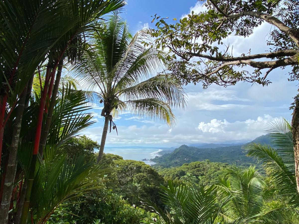 Pacific Edge Eco Lodge Dominical Bagian luar foto