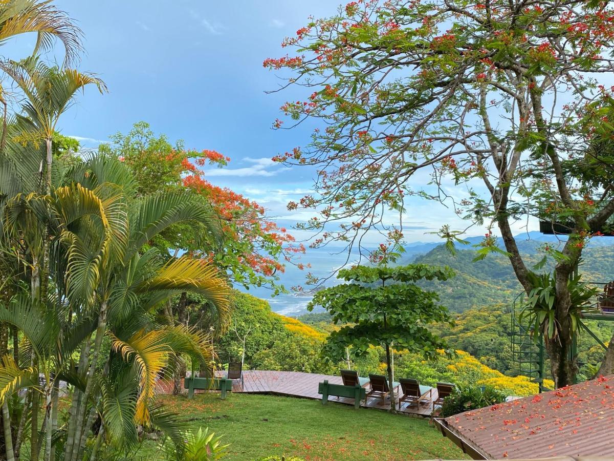 Pacific Edge Eco Lodge Dominical Bagian luar foto
